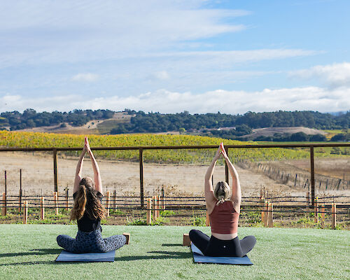 Two individuals are practicing yoga on mats outdoors with scenic views of hills, fields, and a partly cloudy sky in the background.